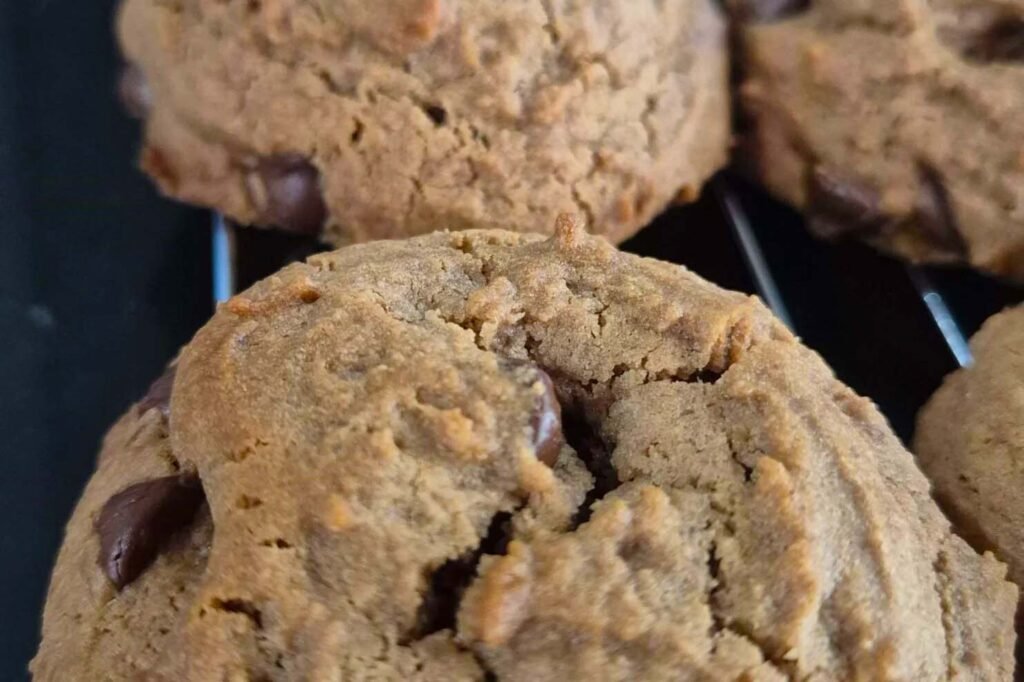 Close up of chocolate malt chocolate chip cookies cooling on a wire rack
