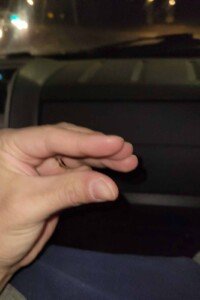 "This much salt and pepper" Hand measurement for salt and pepper